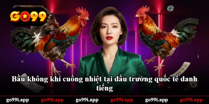 Bầu không khí cuồng nhiệt tại đấu trường quốc tế danh tiếng
