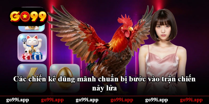 Các chiến kê dũng mãnh chuẩn bị bước vào trận chiến nảy lửa