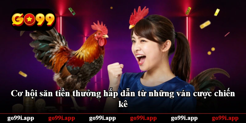 Cơ hội săn tiền thưởng hấp dẫn từ những ván cược chiến kê