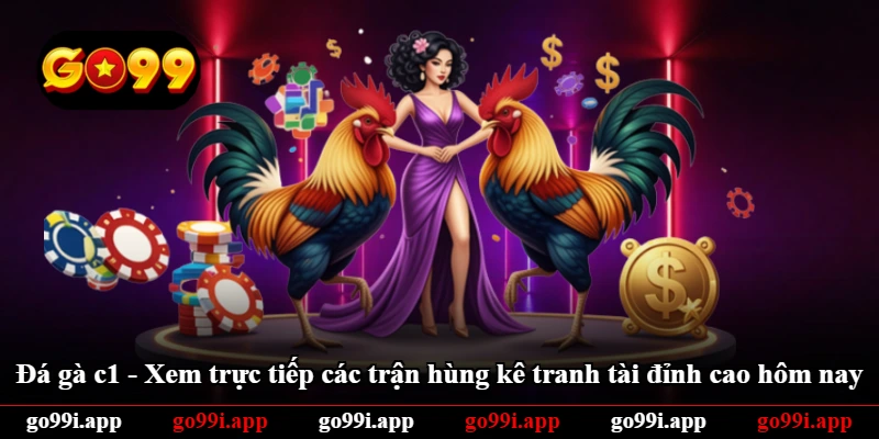 Đá Gà c1 - Xem Trực Tiếp Các Trận Hùng Kê Tranh Tài Đỉnh Cao Hôm Nay