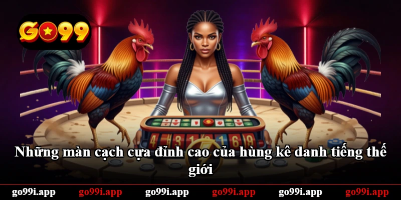 Những màn cạch cựa đỉnh cao của hùng kê danh tiếng thế giới