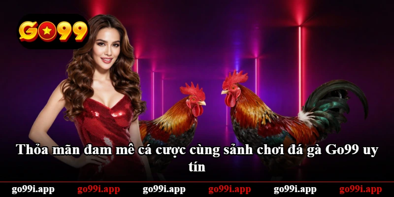 Thỏa mãn đam mê cá cược cùng sảnh chơi đá gà Go99 uy tín