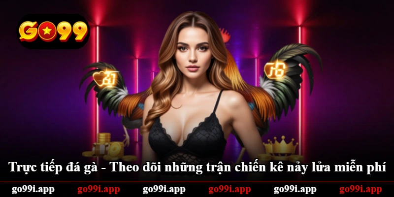 Trực Tiếp Đá Gà - Theo Dõi Những Trận Chiến Kê Nảy Lửa Miễn Phí