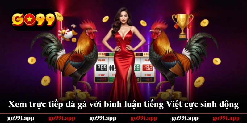 Xem trực tiếp đá gà với bình luận tiếng Việt cực sinh động